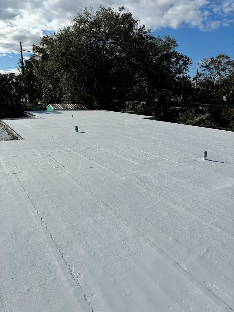 Alternate view of a light-colored low-slope roof surface.